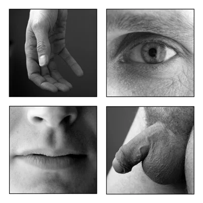 Fragmented Portrait C
