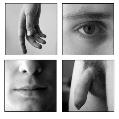 Fragmented Portrait D